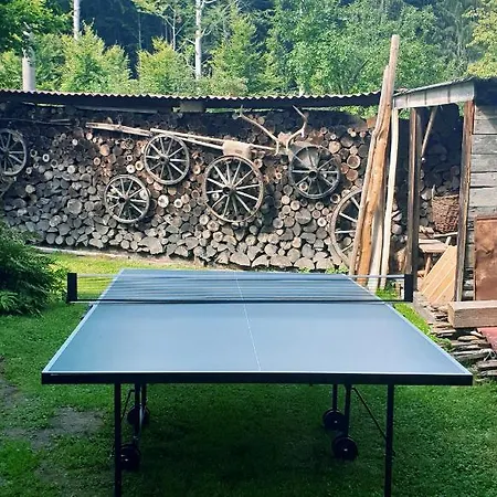 Chaloupka U Lesa Nyaraló