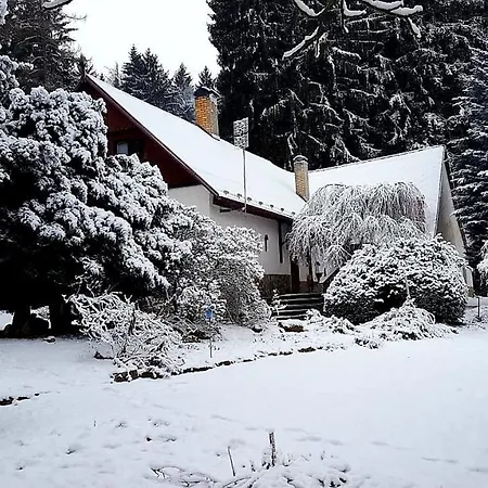 Chaloupka U Lesa Borotin